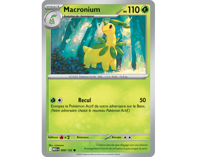 Macronium Pv 110 009/132 - Carte Commune - Méga-Évolution