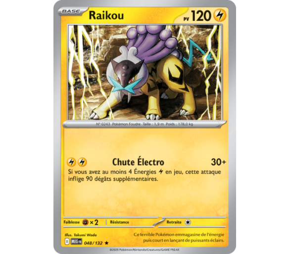 Raikou Pv 120 048/132 - Carte Rare Holographique - Méga-Évolution