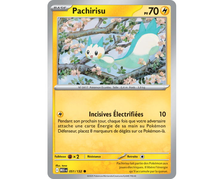 Pachirisu Pv 70 051/132 - Carte Commune Reverse - Méga-Évolution