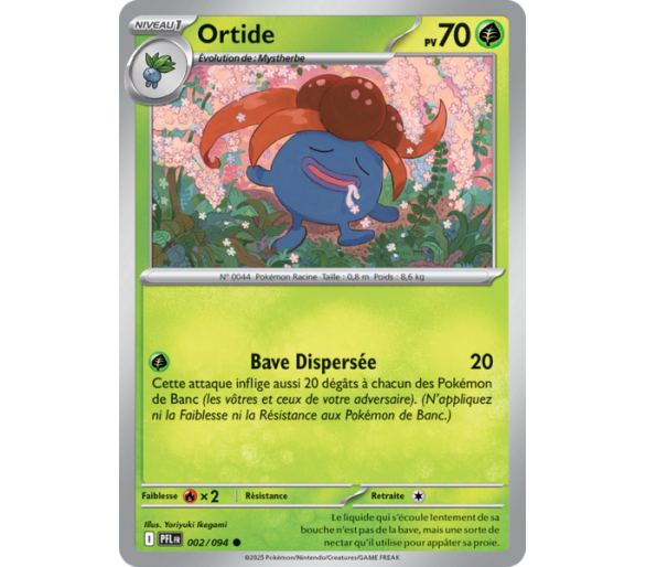 Ortide Pv 70 002/094 - Carte Commune Reverse - Méga-Évolution Flammes Fantasmagoriques