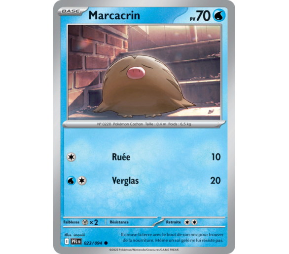 Marcacrin Pv 70 023/094 - Carte Commune Reverse - Méga-Évolution Flammes Fantasmagoriques