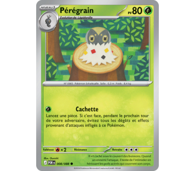 Pérégrain Pv 80 008/88 - Carte Commune Reverse - Méga-Évolution Équilibre Parfait