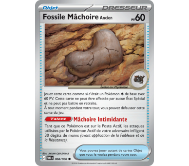 Objet Fossile Mâchoire Ancien 68/88 - Carte Commune Reverse - Méga-Évolution Équilibre Parfait