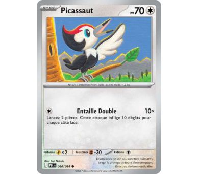 Picassaut Pv 70 066/084 - Carte Commune Reverse - Méga-Évolution Nuit Noire
