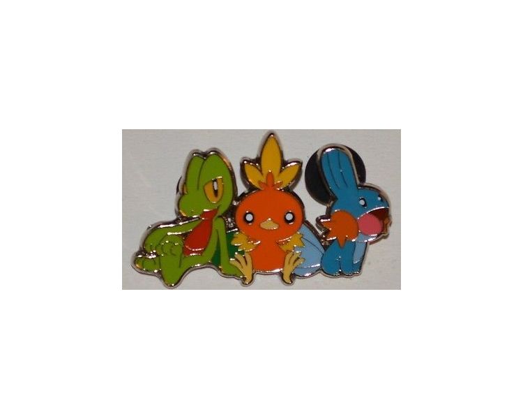Pins Pokémon Arcko Poussifeu Goubo