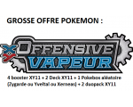 Gros Lot Pokémon Discount XY11 Offensive Vapeur