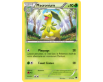 Macronium Pv 90 Carte Peu Commune - 2/122 - XY9