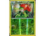 Fragilady Pv 80 Carte Reverse Rare - 8/122 - XY9