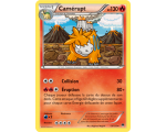 Camérupt Carte Rare Pv 70 - 13/122 - XY9