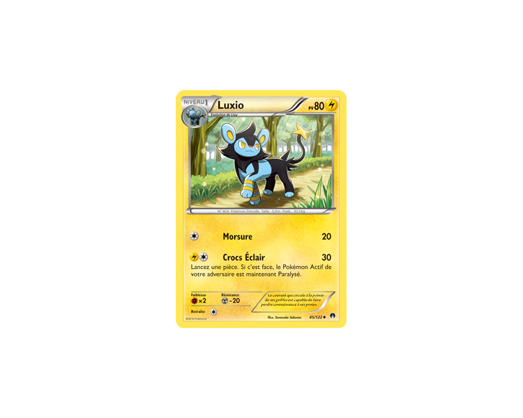 Luxio Carte Peu Commune Pv 80 - 45/122 - XY9