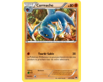 Carmache Carte Peu Commune Pv 80 - 69/122 - XY9