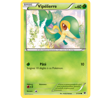 Vipélierre Carte Commune Pv 60 - 5/124 - XY10