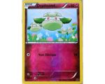 Doudouvet Carte Reverse Commune Pv 50 - 70/124 - XY10