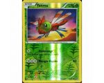 Yanma Carte Reverse Commune 70 Pv - 6/114 - XY11