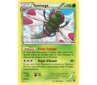 Yanmega Carte Rare 110 Pv - 7/114 - XY11
