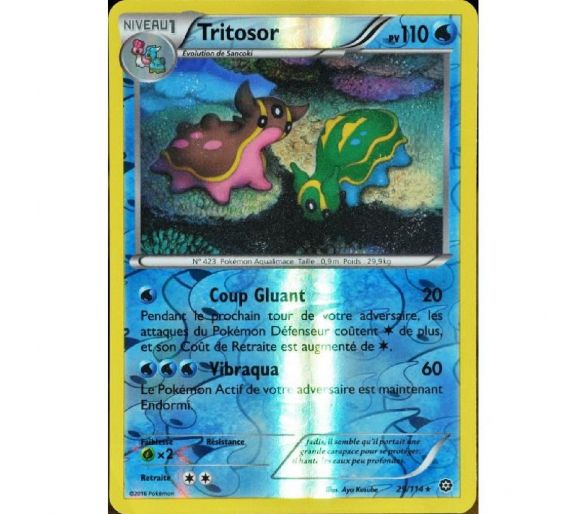 Tritosor Carte Reverse Rare 110 Pv - 29/114 - XY11