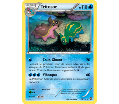 Tritosor Carte Rare 110 Pv - 29/114 - XY11