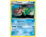 Tritosor Carte Rare 110 Pv - 29/114 - XY11