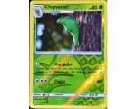 Chrysacier Carte Reverse Peu Commune 80 Pv - Soleil Et Lune - 2/149