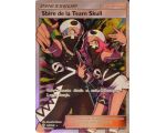 Sbire De La Team Skull Full Art 149/149