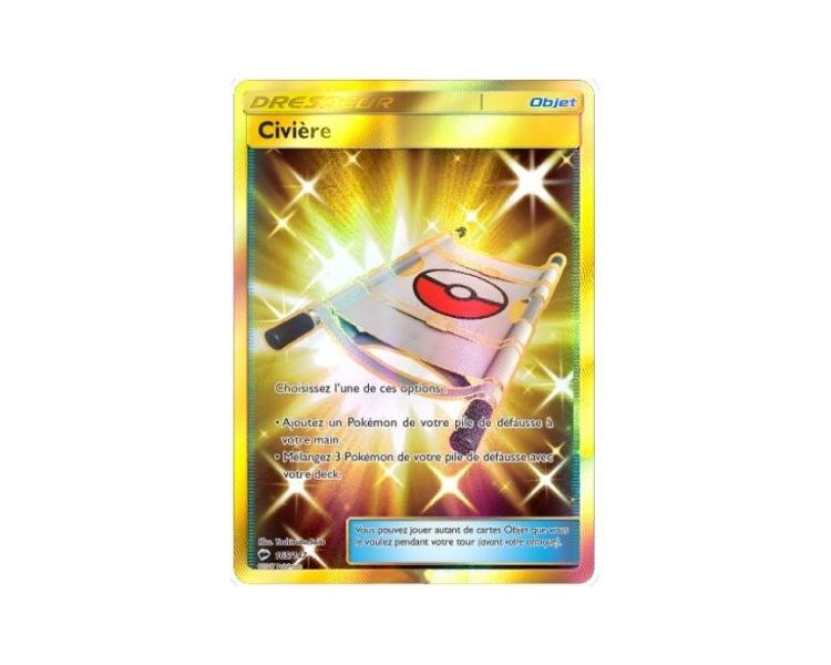 Civiere Carte Dresseur Pokémon Secrète - SL3 - 165/147