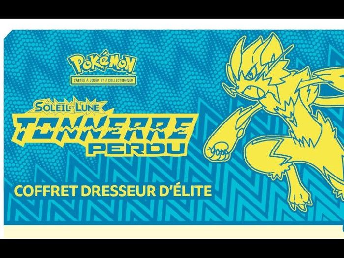 Protection PVC pour ETB - Pokemon - Dresseur Elite