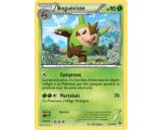 Boguérisse 13/146 XY