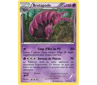 Brutapode 150 PV - 53/146 XY