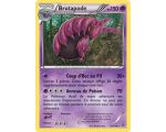 Brutapode 150 PV - 53/146 XY