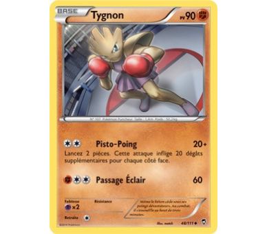 Tygnon 90 PV - 48/111 Poings Furieux