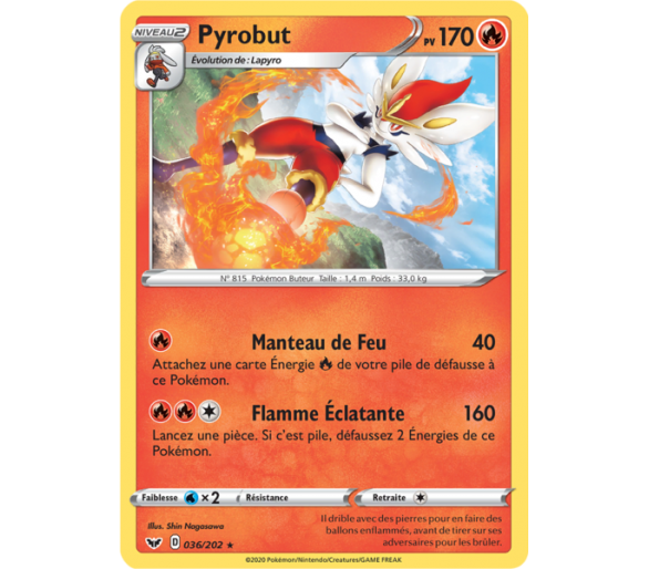 Pyrobut Pv 170 Carte Rare 36/202 Épée et Bouclier