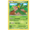 TROPIUS 110 PV - 12/108 XY06