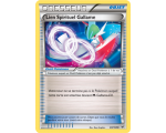 Carte dresseur Lien Spirituel Gallame