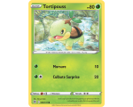 Tortipouss Pv 80 6/172 - Carte Commune - Épée et Bouclier - Stars Étincelantes