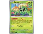 Cacnea Pv 60 005/198 - Carte Commune - Écarlate et Violet