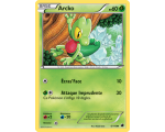 Carte Pokémon Arcko pv 60