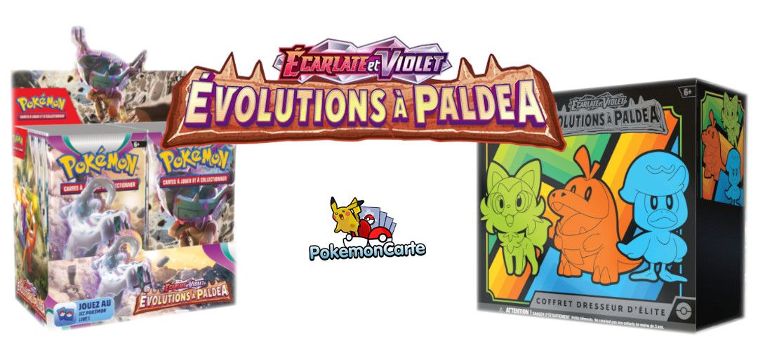 Protège carte Pokémon, Accessoires Pokémon - Pokemon carte au détail rare  du collectionneur (2) - Pokemoncarte